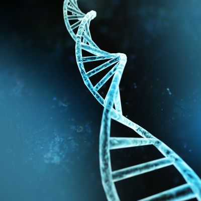 Bild zu Ursachen für Farbsehschwächen