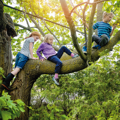 Bild zu Tageslicht fördert Dopaminbildung und normales Augenwachstum