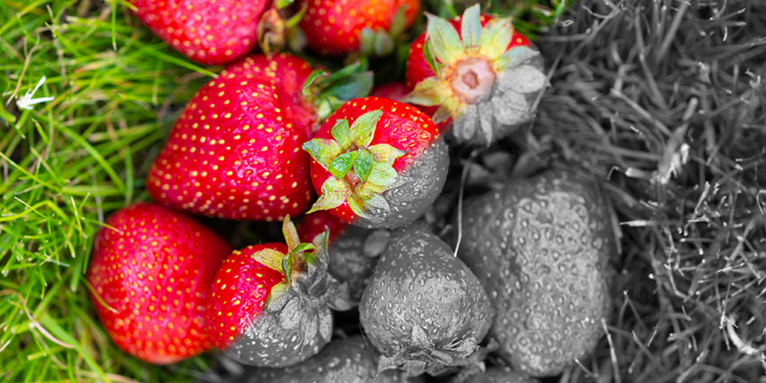 Infos & Tipps für Farbsehschwächen