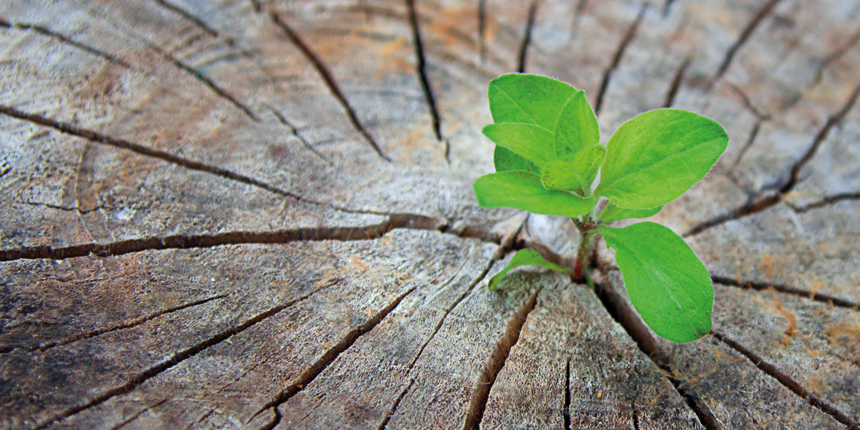 MPG&E: Engagement für Mensch und Natur